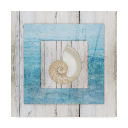 Lightboxjournal 'Blue Frame Spiral Shell' Canvas Art,24x24